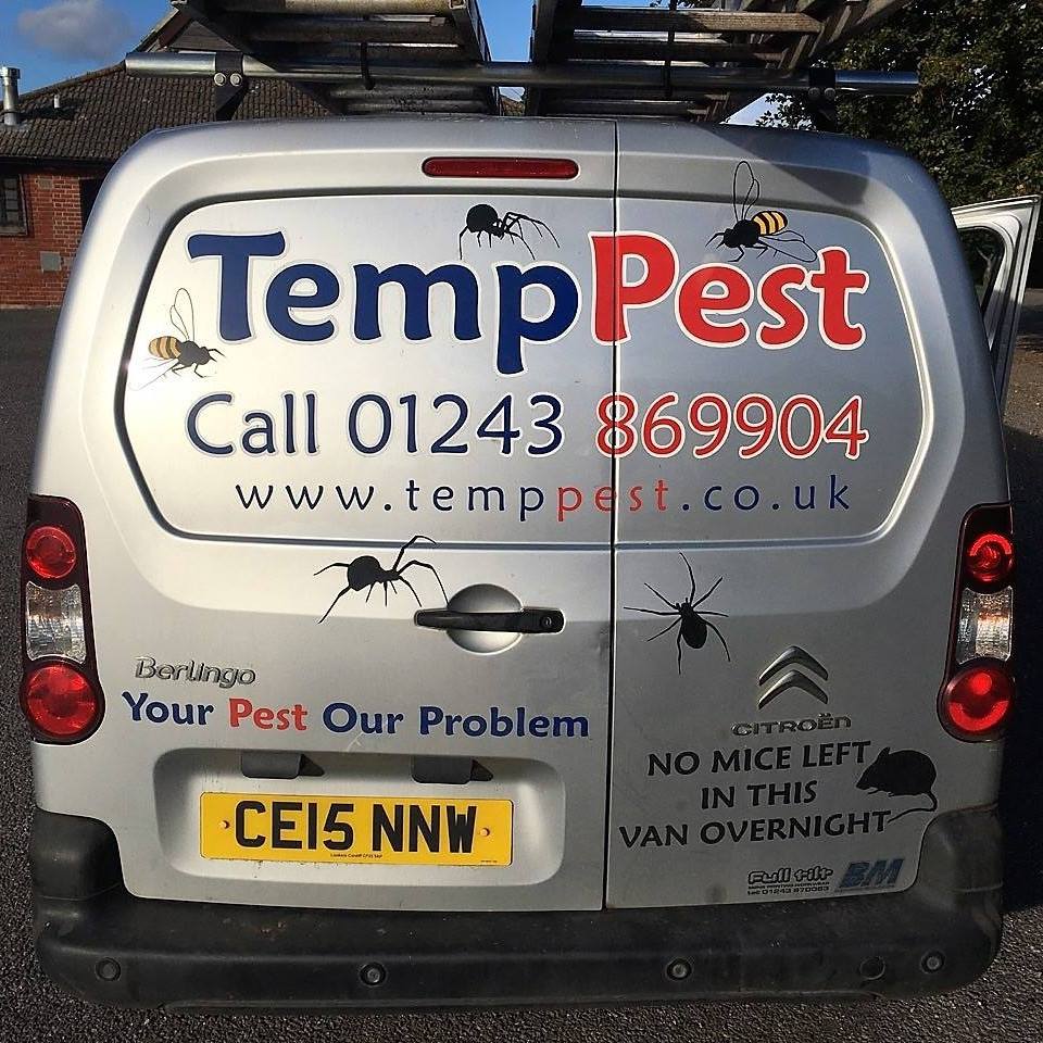 TempPest Environmental Services Pest Control Experts