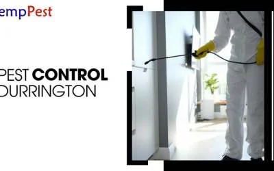 5 Easy Ways to Keep Your Home Pest-Free