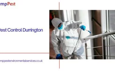 Importance of Regular Pest Control in Promoting a Healthy Home